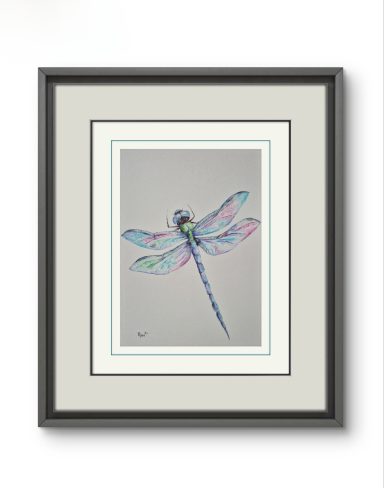 Dragonfly 